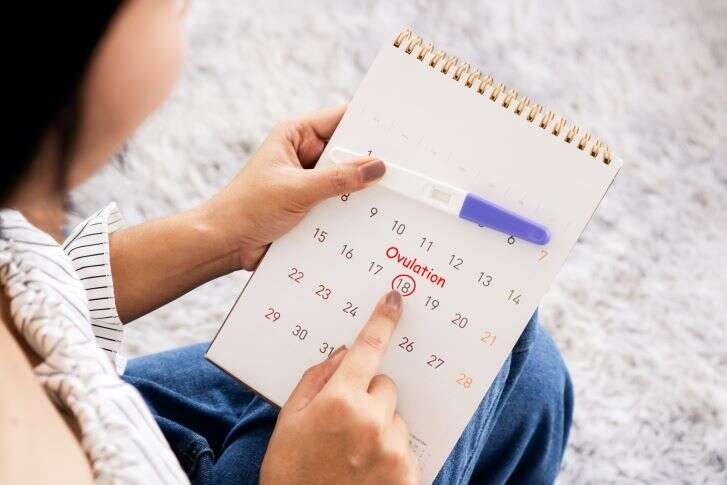 In einem Kalender ist ein Tag eingekreist, darüber steht das Wort "Ovulation".