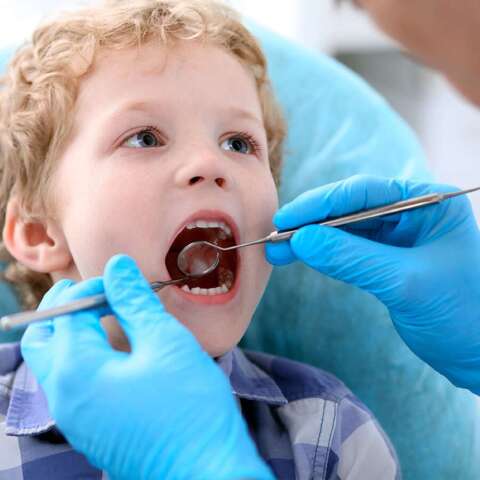 Anwendungsbeispiel Zahnarzt