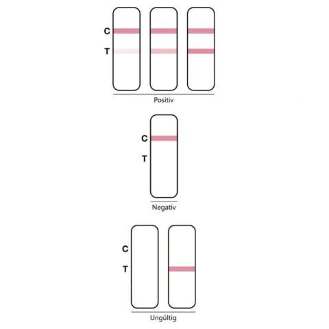 Selbsttest Ergebnisse