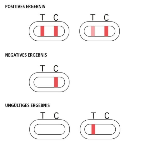 Darstellung der Ergebnisse des Selbsttests