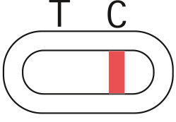 Grafische Darstellung eines positiven Ergebnisses des THC Selbsttest.