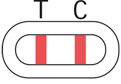 Grafische Darstellung eines positiven Ergebnisses des Covid-19 Schnelltest.