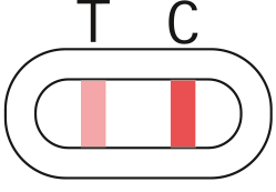 Grafische Darstellung eines positiven Ergebnisses des Covid-19 Selbsttest.